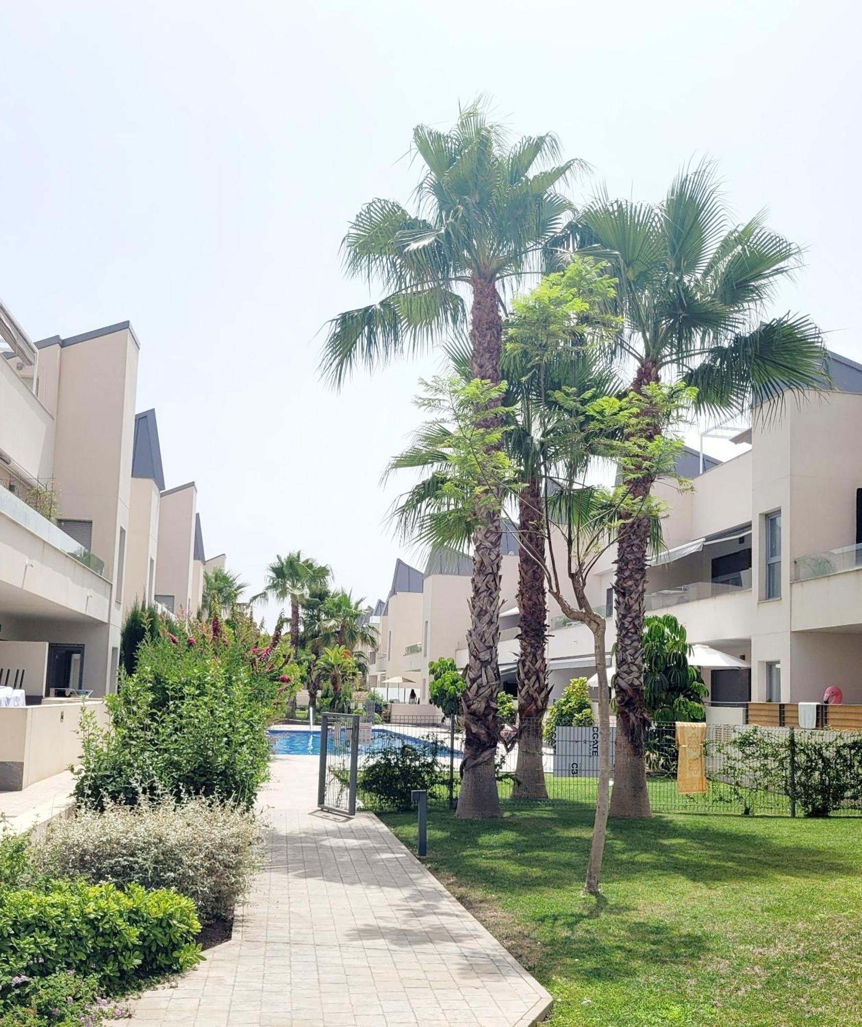 Pmt01 - Modern, Luxury With Heated Pool Torrevieja Exterior foto